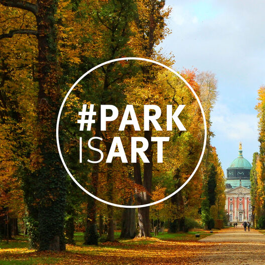 #ParkIsArt – Hauptallee im Park Sanssouci im Herbst