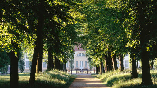 SPSG SchlossParetz HansBach F0017344 VA teaser