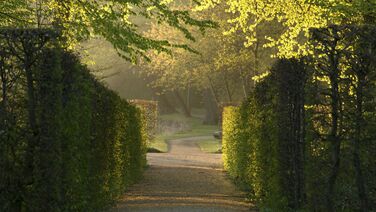 3. Rheinsberger Schlossgartenfest