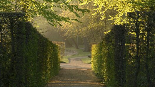 Heckentheater im Lustgarten Rheinsberg
