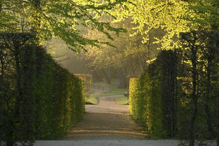 Heckentheater im Lustgarten Rheinsberg