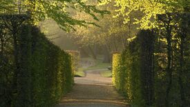 3. Rheinsberger Schlossgartenfest