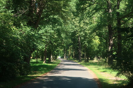 Ökonomieweg im Neuen Garten