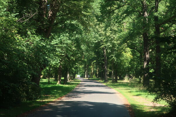Ökonomieweg im Neuen Garten