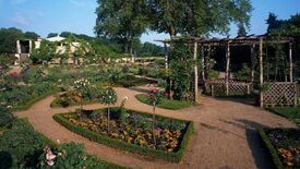 Ist das Gartenparadies noch zu retten?