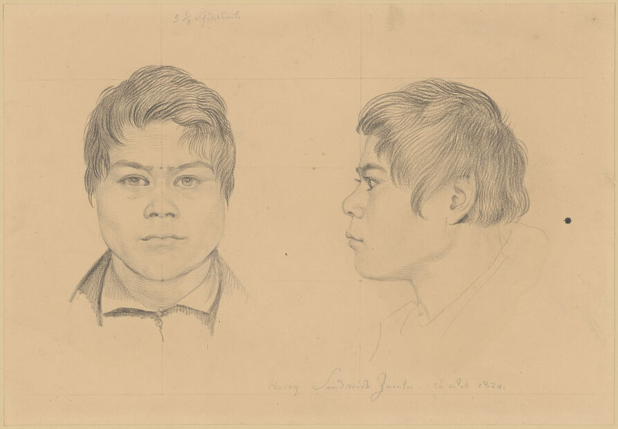 Harry von den Sandwich-Inseln, en face und im Profil nach links, Bleistiftzeichnung von Johann Gottlieb von Schadow