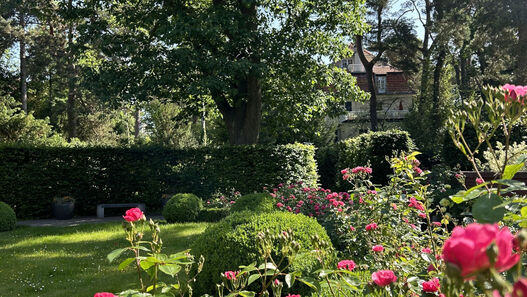 Der von Bruno Ahrends gestaltete Rosengarten des Landhauses Miquelstraße 66/72
