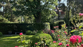 Die geheimen Gärten des Deutschen Bundestags