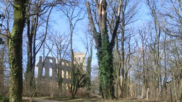 Sachkunde Pflanzenschutz mit Zertifizierung