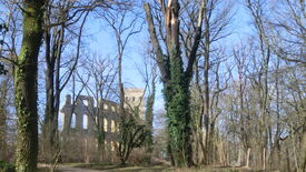 Sachkunde Pflanzenschutz mit Zertifizierung