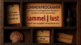 Foto: MuPäD Lübben Sammel-Lust – Hinter den Kulissen eines Museums