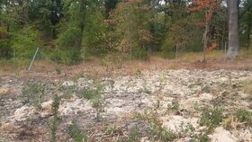 Junge Gehölze pflanzen zur Erhaltung des Gartenkunstwerks