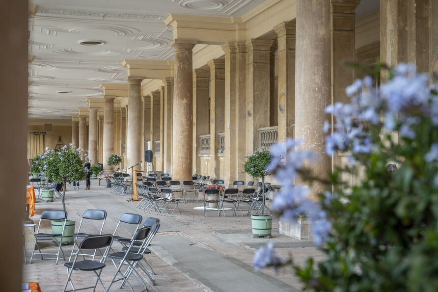 Die Pflanzenhalle in der Orangerie ist für das Fest vorbereitet: Es stehen Tische mit Stühlen darin, im Vordergrund eine lila blühende Pflanze © Gerhard Westrich