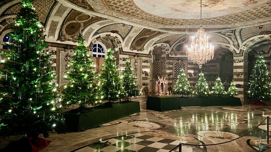 Weihnachtliche Dekoration im Grottensaal des Neuen Palais: neun geschmückte und beleuchtete Weihnachtsbäume