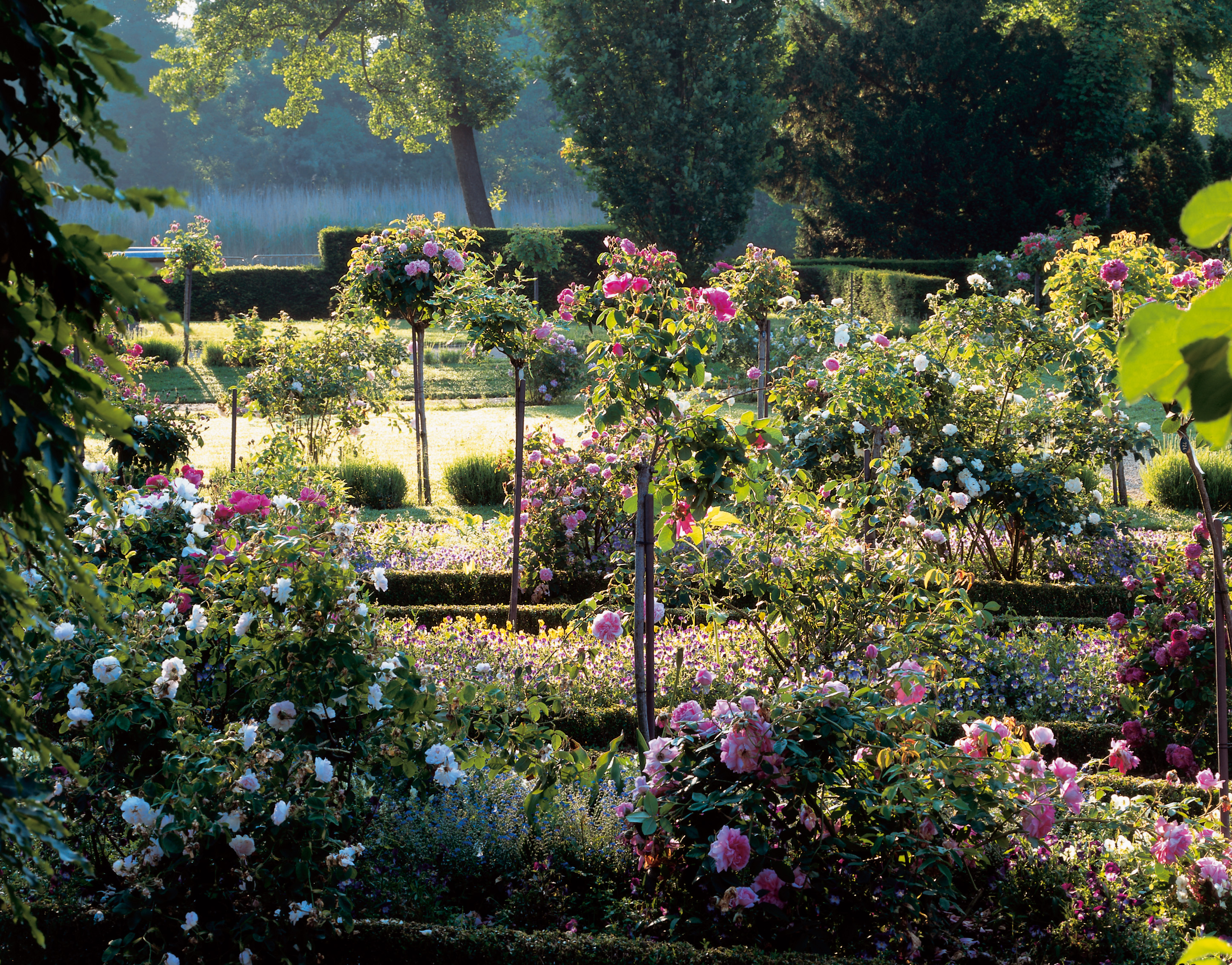 Stiftung Preußische Schlösser und Gärten SPSG PresseInfo 13.6. Park